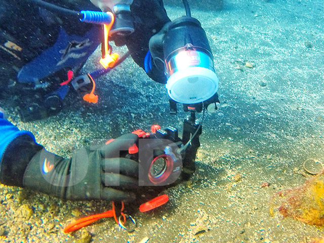 海の底を撮るダイバー