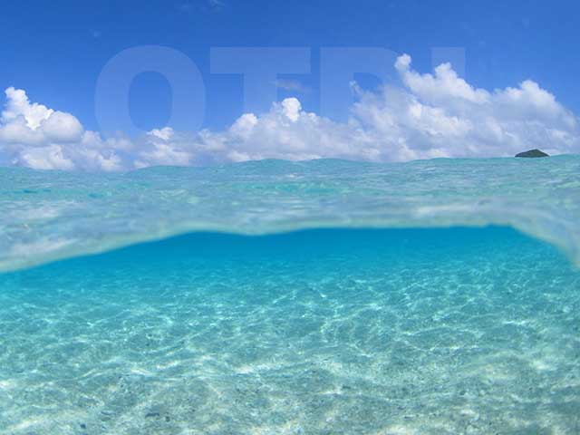 上から海底がはっきり見える透明度の阿嘉島の海