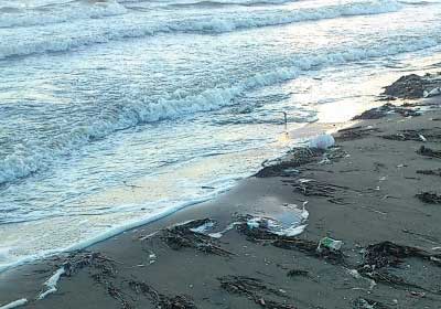 海から岸に流れ着いたゴミ
