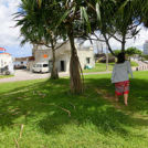 安良波公園を通ってビーチへ