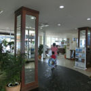 グラスボートなどマリンスポーツもたくさん