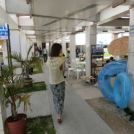 沖縄に来る前に慌ててグッズを揃えなくても良かったなあって思うかもです。