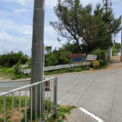 アンチ浜へ向かう道