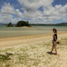 神秘的な散歩コース「ピュアロード」