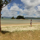 自然に囲まれた静かなビーチ