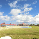 レンタサイクルも楽しめる園内