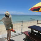 最高の眺めです