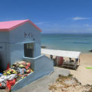 トイレもあります!南側入口の風景