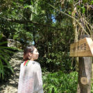 御嶽への案内札