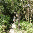 ここから御嶽へ