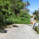今度はビーチに向かいます