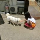 ワンコもいました♪