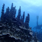 サクラ・ダファミリア