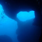 これぞ地形ダイビング!